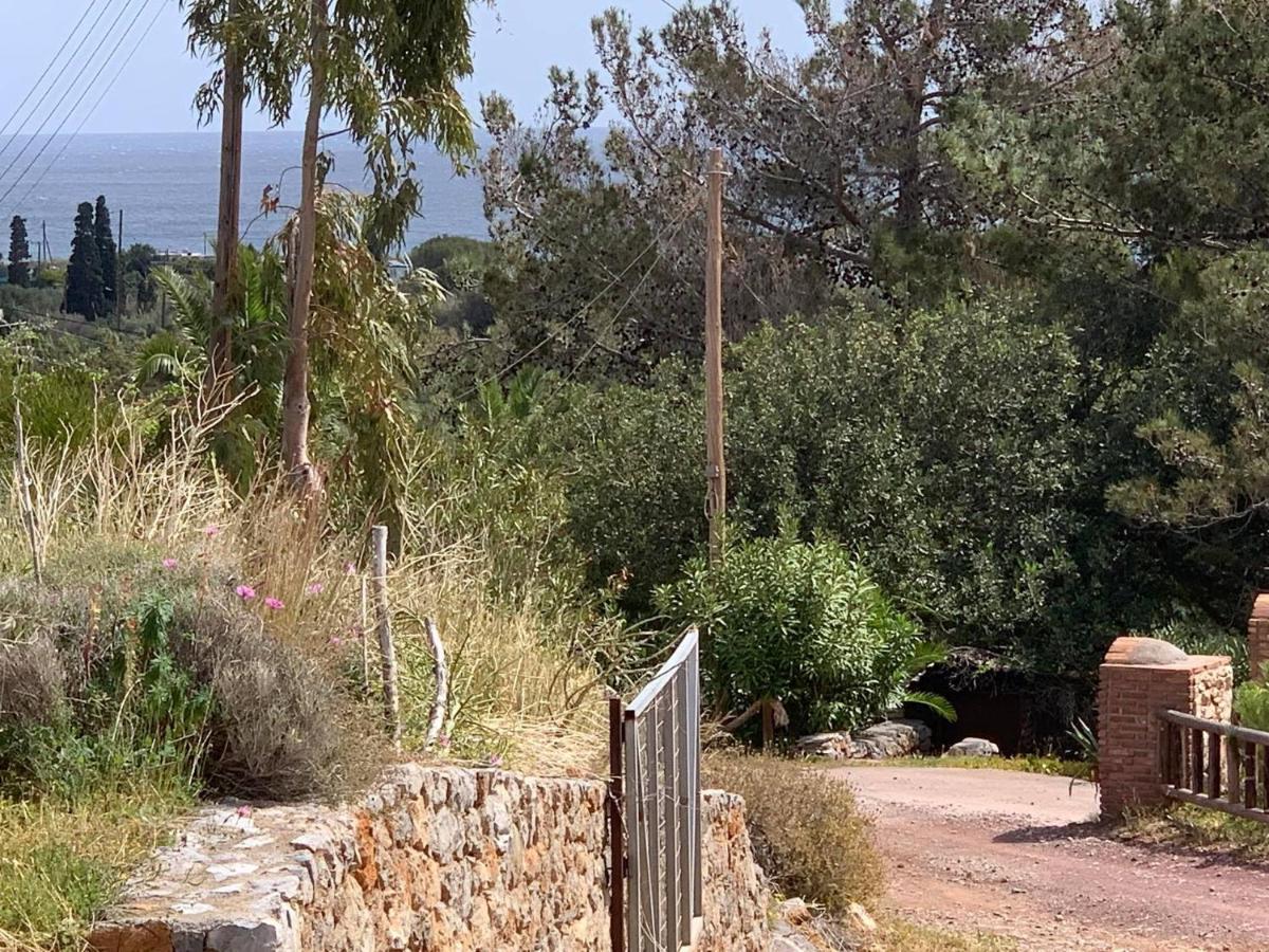Villa Sea View Mesa Mpanta Káto Zákros Exteriér fotografie